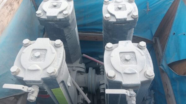 4" (DN 200) DUPLEX STRAINER -  BOLLFILTER Duplex Stainless Steel Body - Image 2